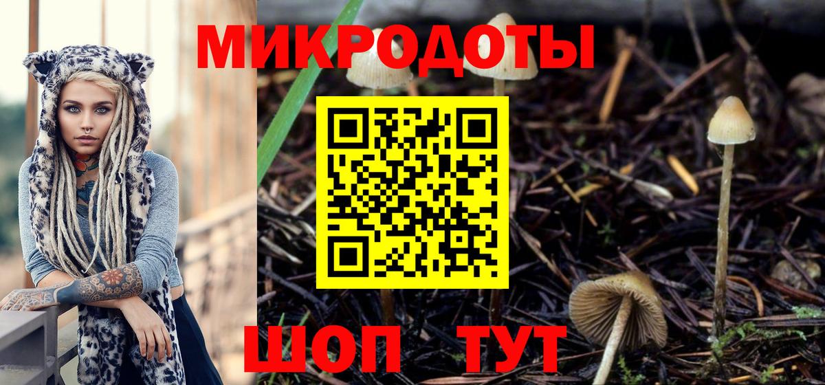 Великий Новгород  Галлюциногенные грибы ЛСД  Псилоцибиновые грибы ЛСД  Вход с VPN 