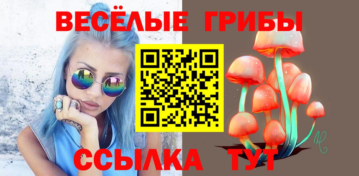 Галлюциногенные грибы ЛСД Великий Новгород