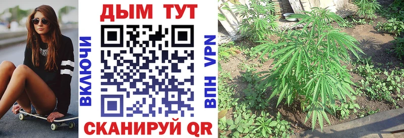 это формула  Великий Новгород  Шишки марихуана марихуана 